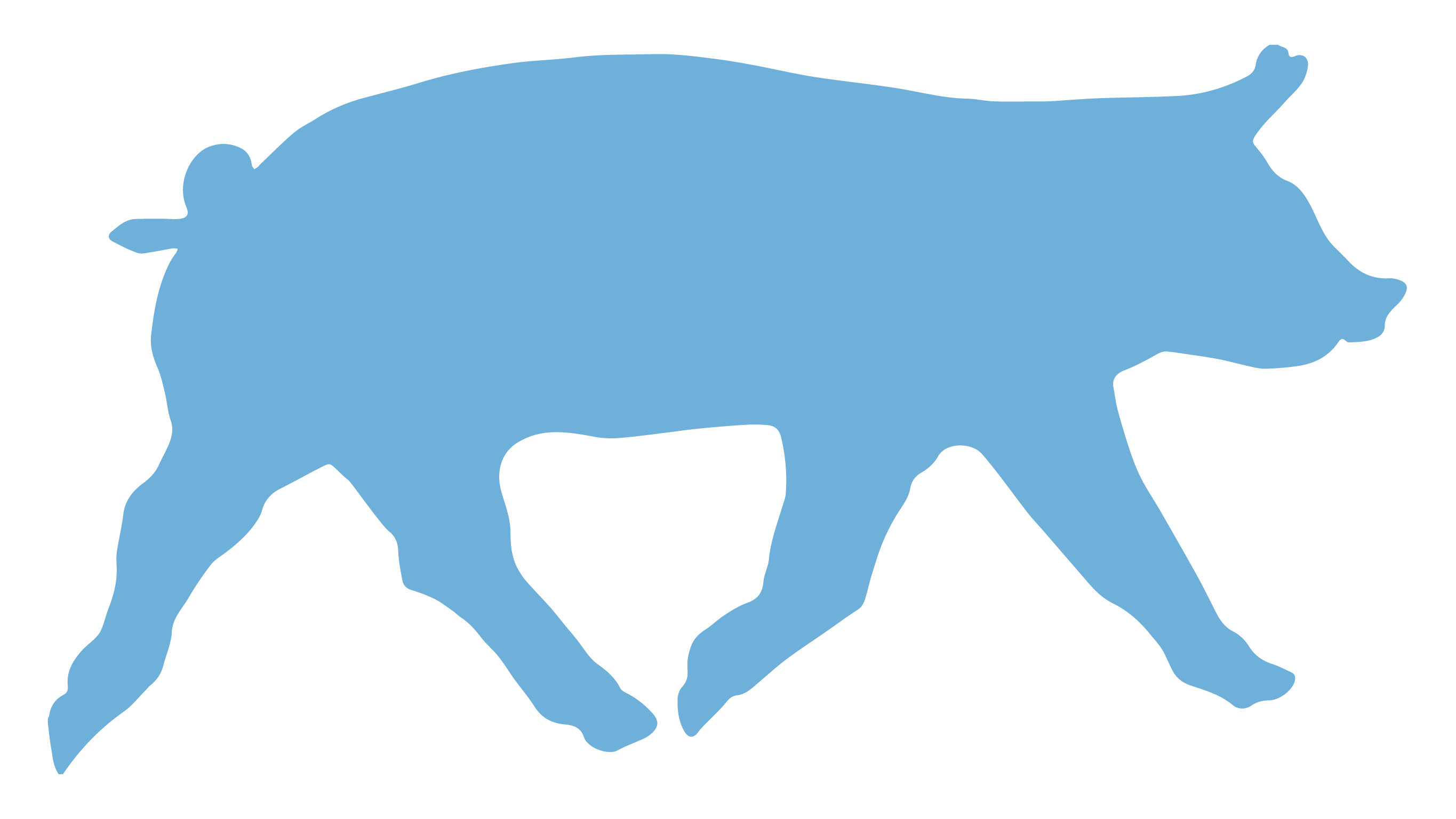 Silhouette of Pig running in .png format
